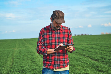 Smart farming, farm worker using digital table in cultivated wheat field