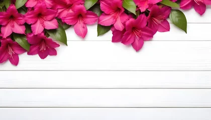 Selbstklebende Fototapeten pink azaleas flower, floral background, on a white wooden background with copy space  © PREM