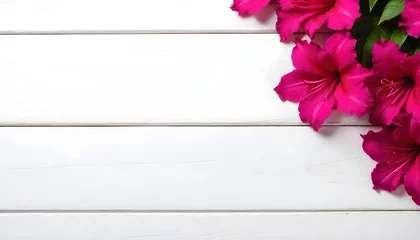 Foto auf Acrylglas pink azaleas flower, floral background, on a white wooden background with copy space  © PREM