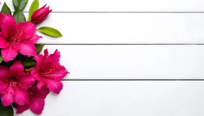 Crédence de cuisine en verre imprimé Azalée pink azaleas flower, floral background, on a white wooden background with copy space 