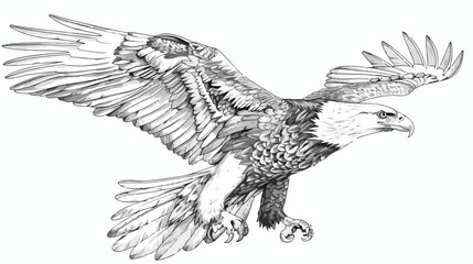 Fototapeta na wymiar Sketch of eagle on white background Flat vector isolated