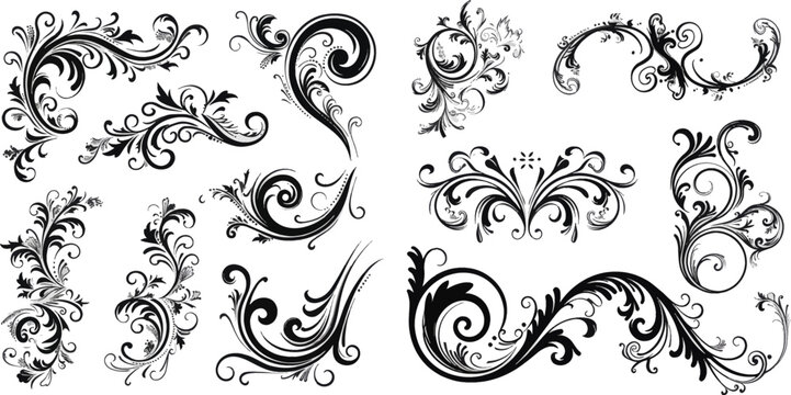 Ornamental curls, swirls divider and filigree ornaments