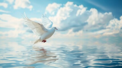 A white dove is flying over a body of water. Concept of freedom and peace, as the dove soars through the sky above the calm water - obrazy, fototapety, plakaty