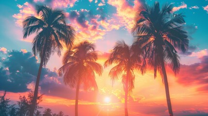 A sun setting behind a row of palm trees, creating a silhouette against the orange and pink sky