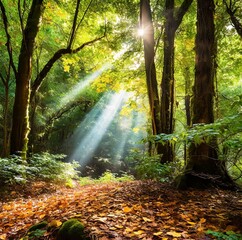 Fototapeta premium A tranquil forest scene with sunlight filtering through the dense canopy onto a bed of fallen leaves.