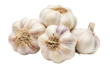 Aromatic Allium: Exploring the World of Garlic isolated on transparent Background
