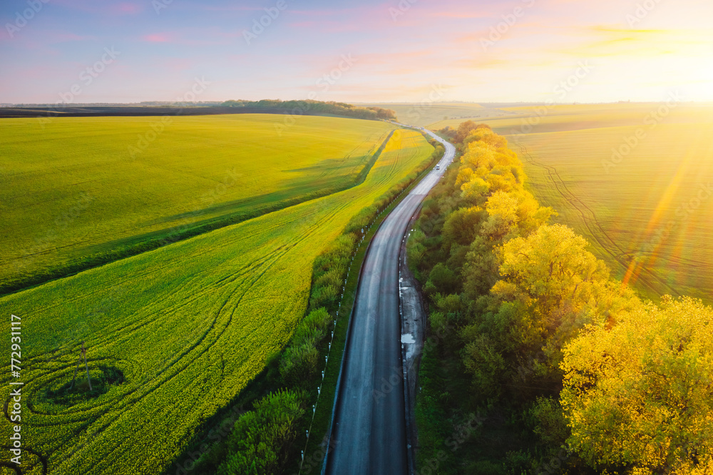 Poster Bird's eye view of a morning country road passing through farmland and cultivated fields.