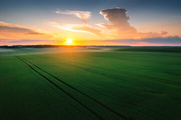 Gorgeous view of green fields and agricultural areas at sunset.