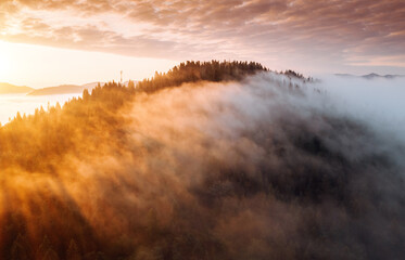 Magical thick fog covers the mountains in the rays of morning light.