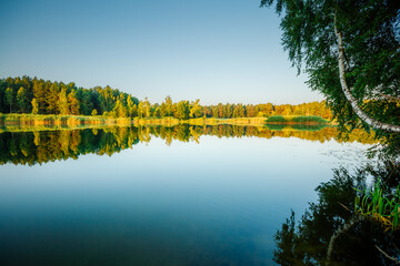 A magical view of a quiet lake surrounded by coniferous forest on a sunny day.