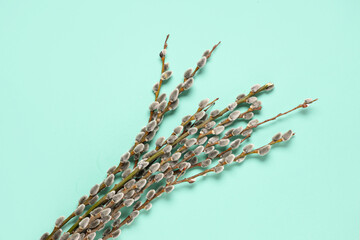 Pussy willow branches on turquoise background. Easter celebration © Pixel-Shot