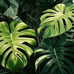 Monstera green leaf. Abstract background with plant.