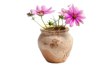 Earthenware Vessel Holding a Pink Blossom isolated on transparent Background