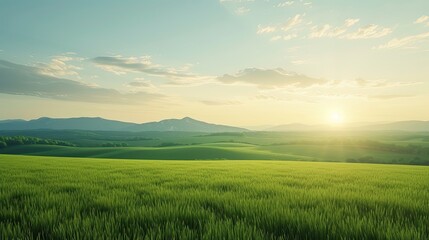 Field in the rays of sunset. Nature, sun, glade, greenery, grass, meadow, flowers, summer, freshness, picnic, pasture, hay, wheat, clover. Generated by AI - obrazy, fototapety, plakaty