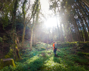 Backpacker Hiker walking in the forest and countryside of Chepstow, Monmouthshire, United Kingdom