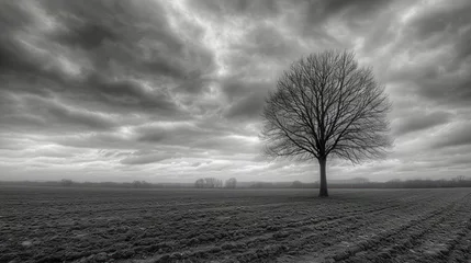 Ingelijste posters monochrome landscape with moody clouds and a lone tree, conveying a sense of solitude and contemplation © Tina