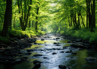 Fototapeta premium Stream in the green forest. Spring landscape. Beauty in nature.