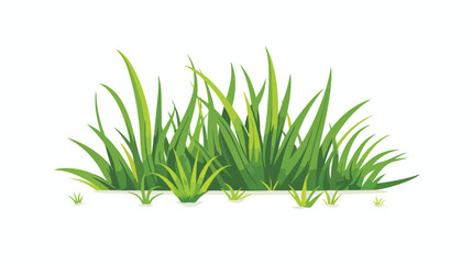 Grass vector illustration