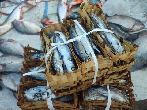Distribution and marketing of pindang fish in the market