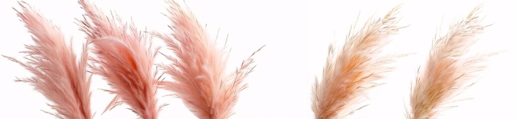 Furry Feathers A Pink and White Blurred Background Generative AI