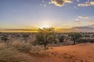 Panoramic picture over the Namibian Kalahari in the evening at sunset with blue sky and light clouds