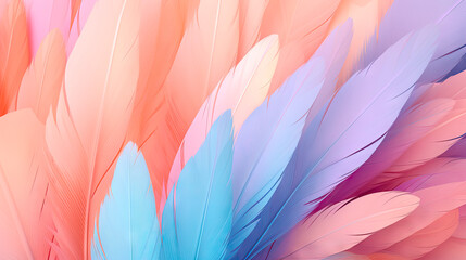 Fototapeta na wymiar Colorful feathers arranged on a wall