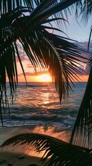 Tropical beach sunset framed by palm leaves
