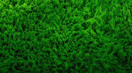 Green grass field and red fire hydrant - Powered by Adobe