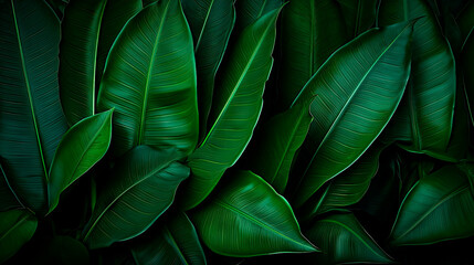 Green leaves closeup on black background - obrazy, fototapety, plakaty