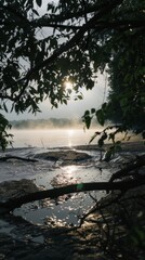 Misty river at sunrise with silhouettes of trees