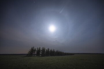 Moon halo above the trees