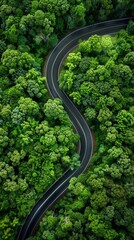 Aerial view of a winding road through a lush forest