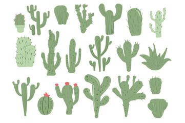 Cactus hand drawn set isolation on white background. Mexican cacti and aloe. Exotic various succulent plants collection Vector illustration