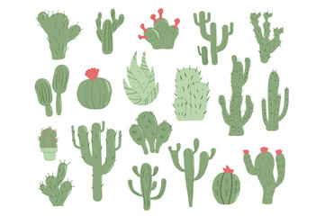 Cactus hand drawn set isolation on white background. Mexican cacti and aloe. Exotic various plants collection Vector illustration