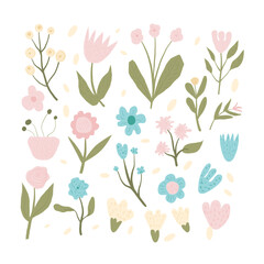 Hand drawn flowers card. Botanical nature spring elements. Modern floral and leaves shapes. Vector square composition illustration