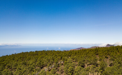 View from drone of empty asphalt road in middle of a pine forest in Tenerife, canary islands, beautiful horizon over sea, green trees and blue sky.