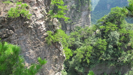 G10 China Selva verde Bosque virgen naturaleza