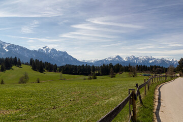 Fototapeta na wymiar idyllischer Blick über eine Wiese in den bayerischen Alpen im Ostallgäu. Im Hintergrund erstrecken sich die schneebedeckten Berge Säuling und Tegelberg