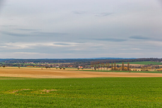 Springtime landscape in central Europe