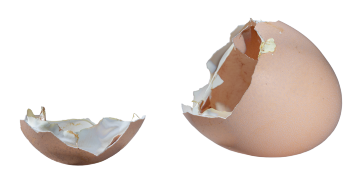 Egg shell broken after the newborn chicken chick has escaped