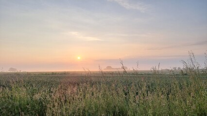 Sonnenaufgang auf einem Feld.