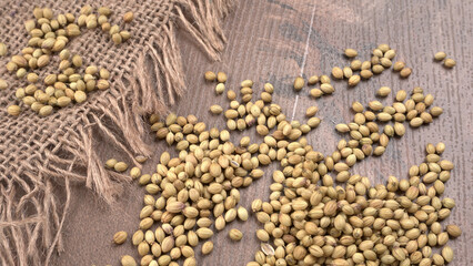 Dried coriander seeds with fresh green leaf isolated on wooden background. Top view. Flat lay