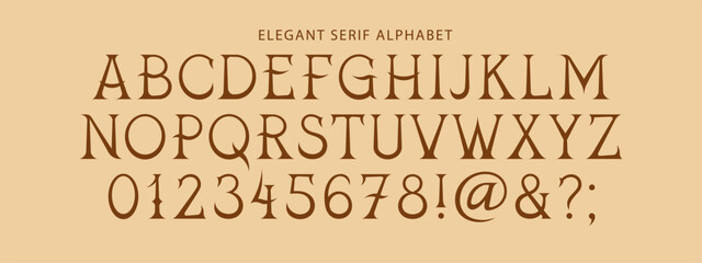 Vector Set Of Letters, Numbers and Punctuation. Decorative Elegant Serif Letters in Classic Proportions. Uppercase Alphabet. - 773010975