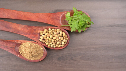 Dry coriander seeds with small bamboo spoon and green fresh bunch coriander leaves,famous spices ingredients in asia's kitchen.