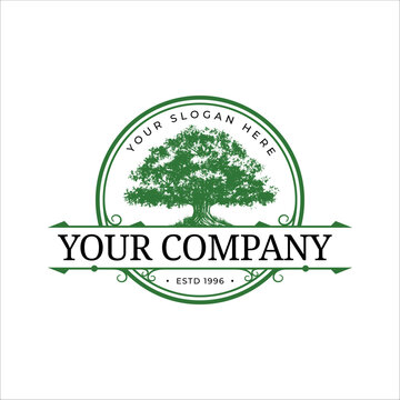Oak Tree Hand Drawn Vintage Logo