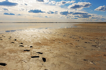 Beautiful shore of lake, clouds on sky and reflections on water surface. Summer sunlight day....