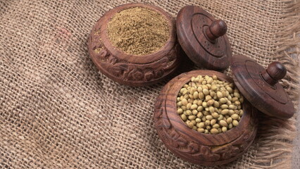 Dry coriander seeds with small bamboo spoon and green fresh bunch coriander leaves,famous spices ingredients in asia's kitchen.