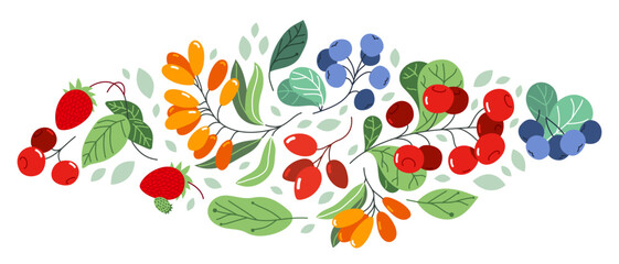 Wild berries fresh and ripe tasty healthy food vector flat style illustration isolated over white, delicious vegetation diet eating, organic food. © Sylverarts