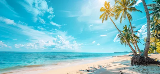 Foto op Plexiglas 高いヤシの木と海辺の素敵な景色。白い砂浜。明るい熱帯の夏の日差しと薄い雲のある青空。ワイド画面形式-生成AI © Coo