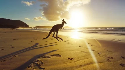 Fotobehang A kangaroo is on a beach with the sun setting in the background © Nosheen